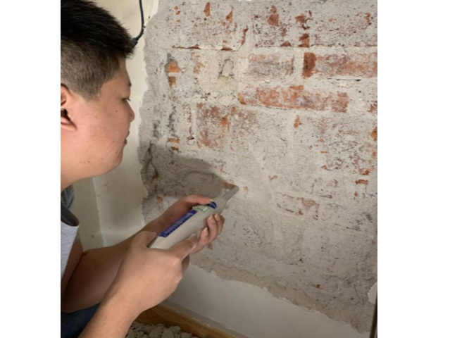 主体结构工程现场检测